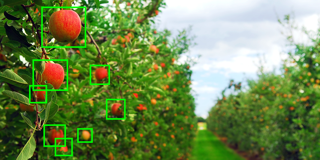 Visión por computadora en agricultura